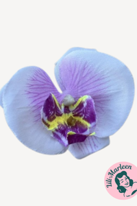 Orkide Hårclips med Krokodillespænde, hvid/lys lilla - gult stref